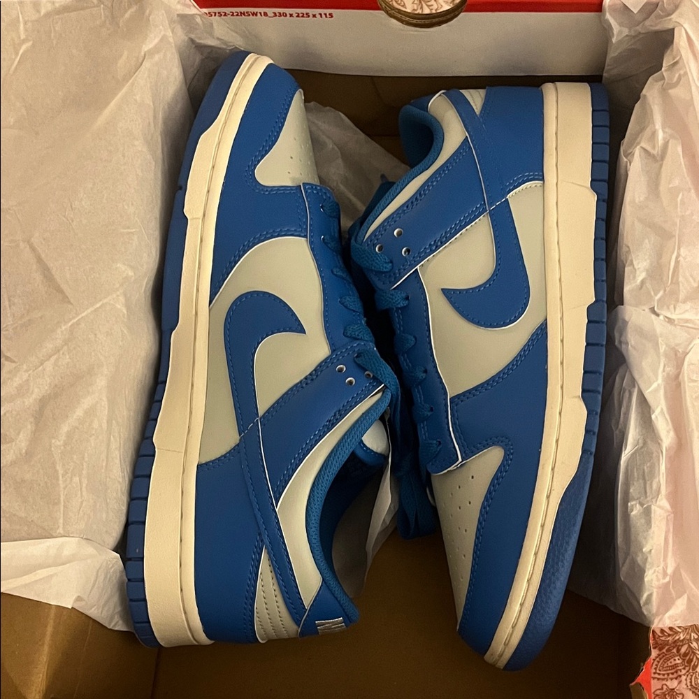 Nike Dunk Low Retro